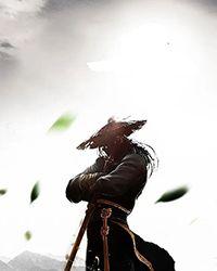 诸天从综武世界开始